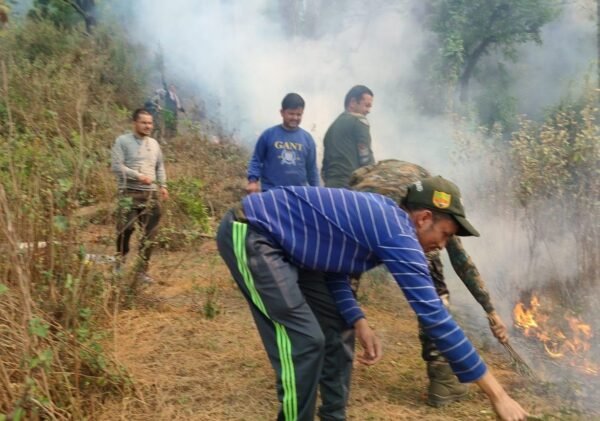 चमोली : उलंगरा के जंगलों में लगी आग, ग्रामीण व वन विभाग जुटा आग बुझाने में