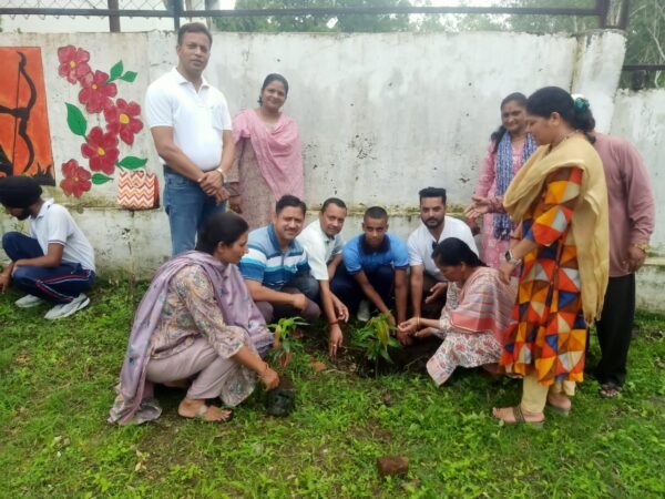 राजकीय स्नातकोत्तर महाविद्यालय कोटद्वार में वृक्षारोपण व साफ सफाई कर मनाया हरेला पर्व