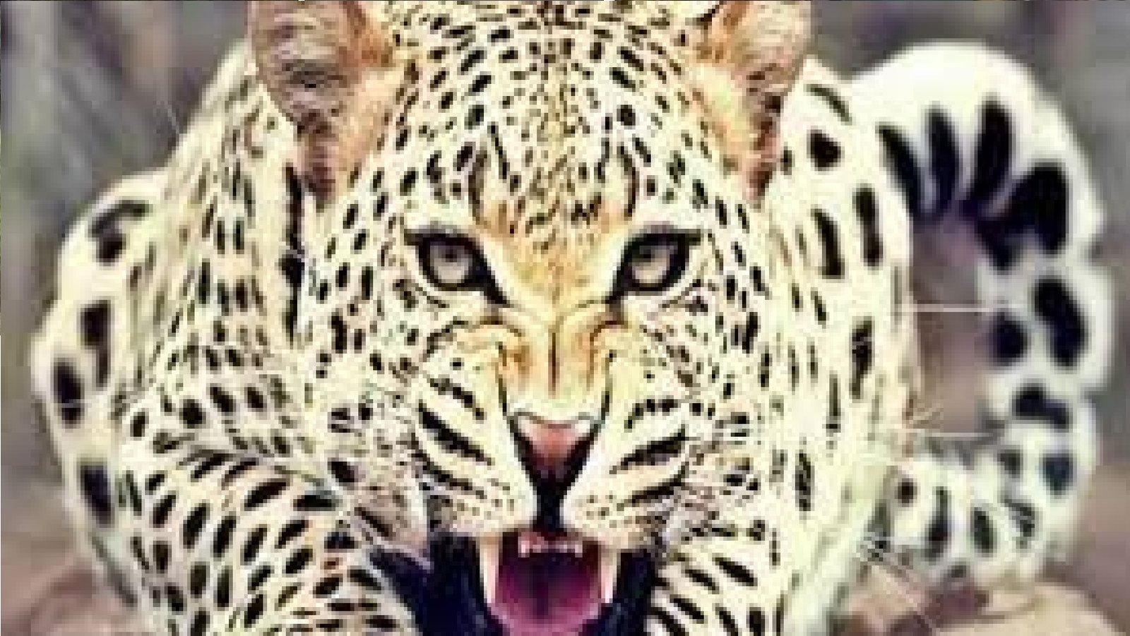 गुलदार का कहर : सत्यखाल क्षेत्र में व्यक्ति पर हमला, मौत, इलाके में दहशत