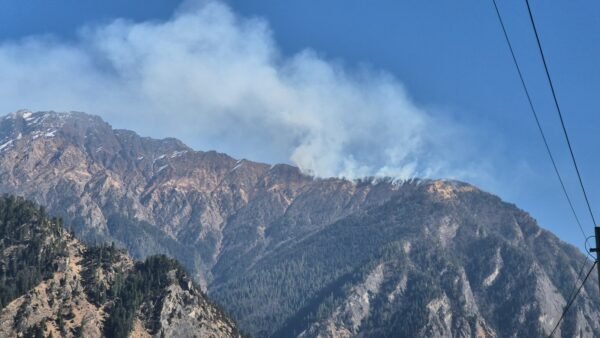 नंदा देवी नेशनल पार्क के तपोवन क्षेत्र में वनाग्नि का तांडव