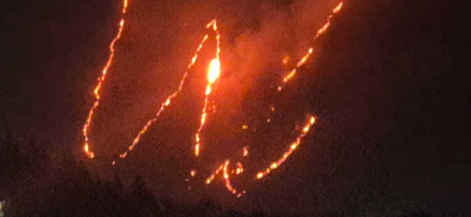 ज्योतिर्मठ के सामने चांई गांव के जंगलों में भीषण वनाग्नि