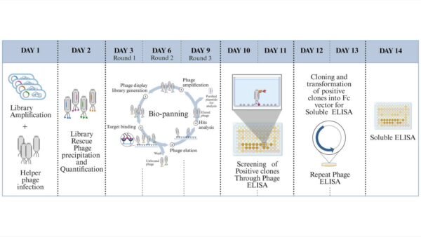 स्वास्थ्य नवाचार पारितंत्र को सुदृढ़ करने के लिए आईआईटी रुड़की ने अगली पीढ़ी का एंटीबॉडी खोज मंच किया विकसित