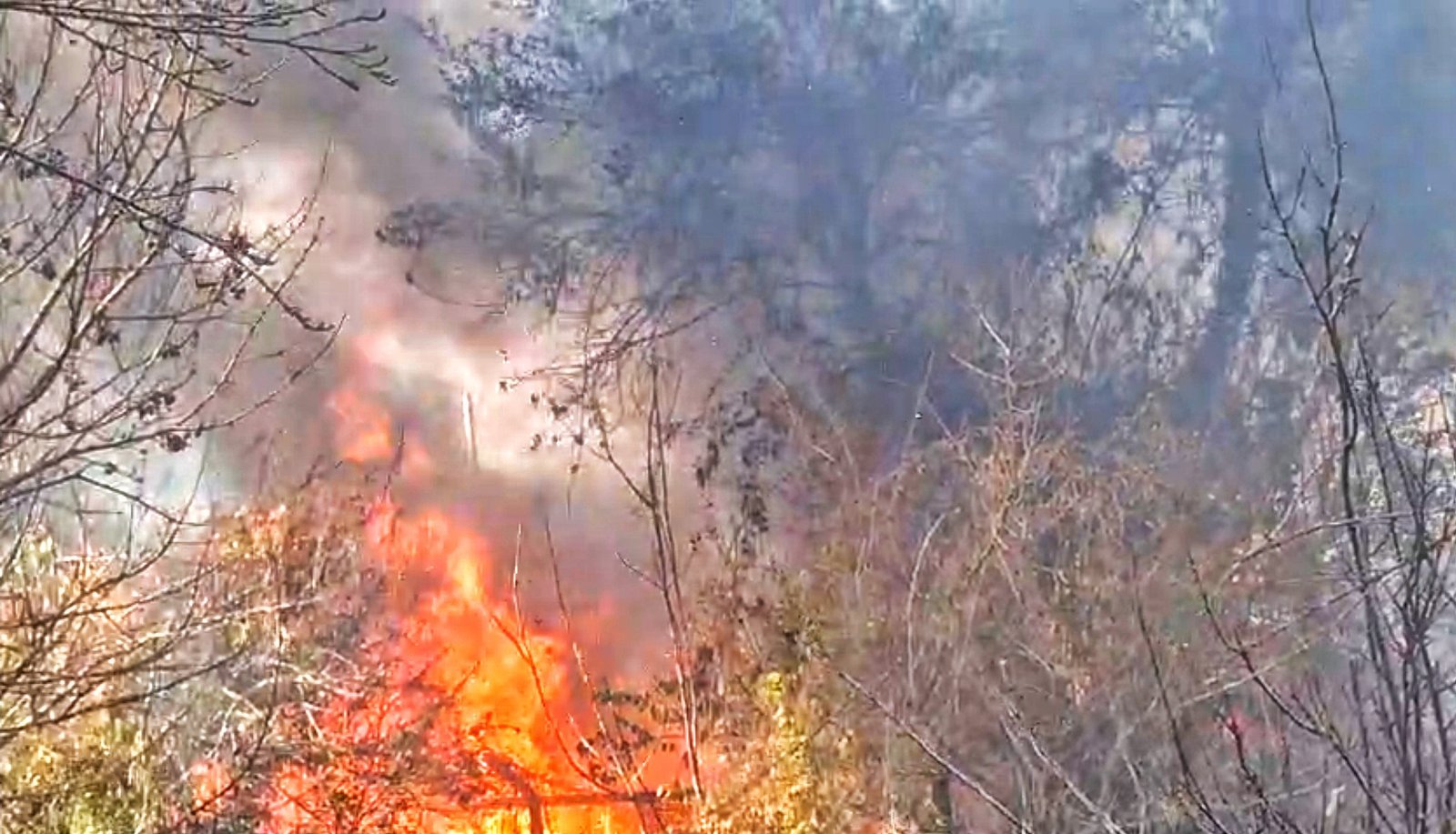 जोशीमठ आर्मी कैंप के स्टोर में लगी आग