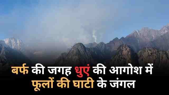 फूलों की घाटी रेंज के जंगलों में फिर धधकी आग, धुएं की चादर में लिपटा क्षेत्र