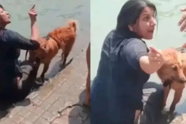 हरिद्वार में विवाद, गंगा में कुत्ते का स्नान और मछलियों का शिकार