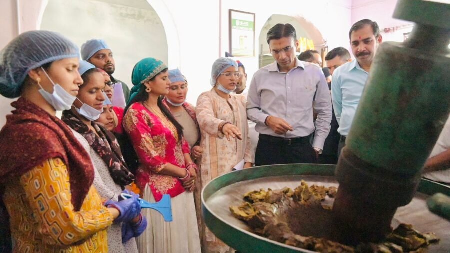 महिला स्वयं सहायता को समूहों को उपलब्ध कराया जाएगा ऑनलाइन बाजार; गूगल मैप्स पर पंजीकरण के डीएम सविन बंसल ने दिए निर्देश