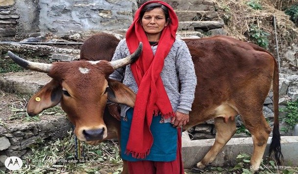 IFAD सहायतित ग्रामोत्थान (REAP) परियोजना से डेयरी उद्यम के माध्यम से बढ़ रही ग्रामीण महिला की आय