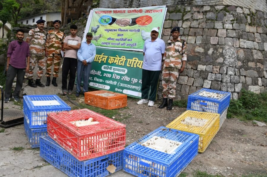 मुर्गी पालन बना आय का सशक्त माध्यम, 520 किलो चिकन से ₹68 हजार की कमाई