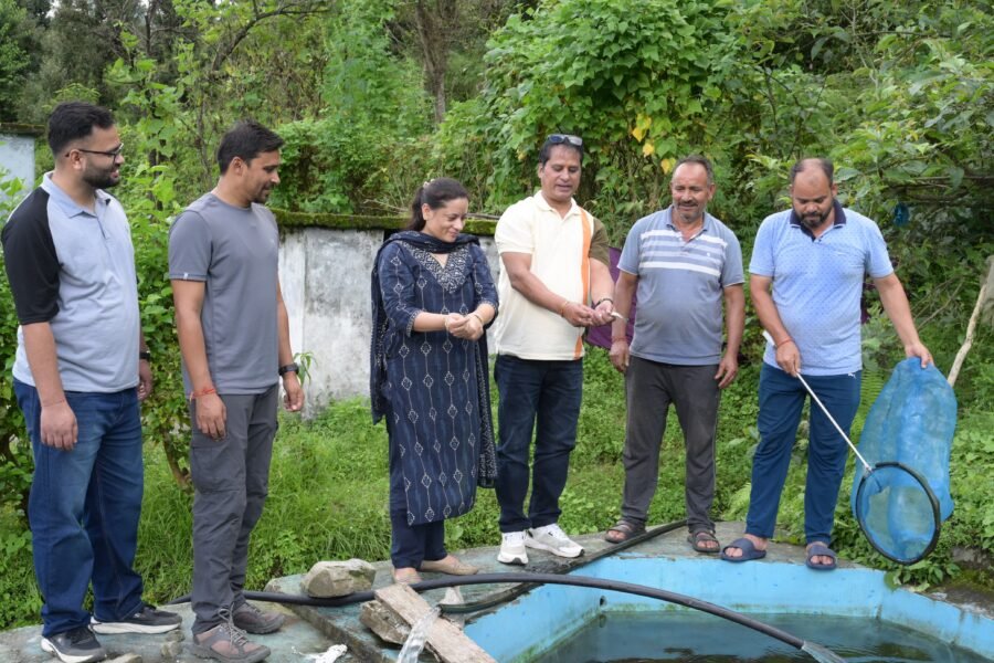 ट्राउट पालन से बलवीर सिंह राणा ने बदली तकदीर, 15 क्विंटल उत्पादन कर कमाया 6 लाख रुपये का शुद्ध मुनाफा