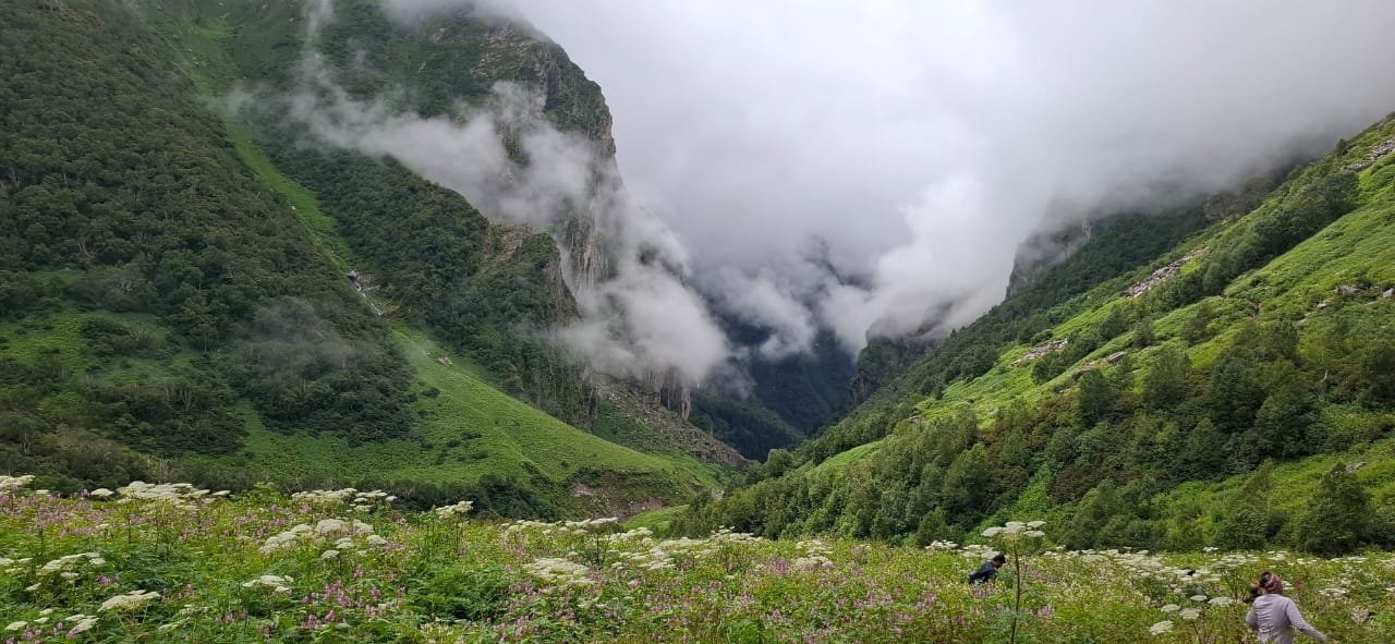 मानसून की फुहारों से निखरी विश्व धरोहर फूलों की घाटी में पर्यटकों की बहार, सीजन में पहुंचे 18856 सैलानी