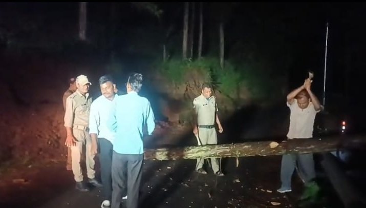 रात में सड़क पर गिरा विशाल चीड़ का पेड़, रिखणीखाल पुलिस ने शिक्षक को सुरक्षित पहुंचाया
