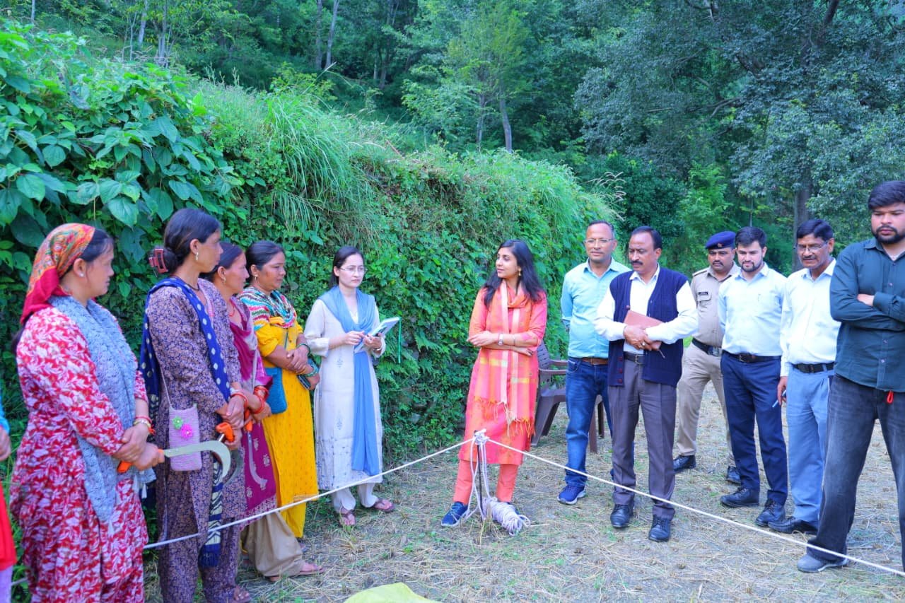 खेत में उतरीं डीएम स्वाति एस. भदौरिया, क्रॉप कटिंग से परखी गेहूं की उपज