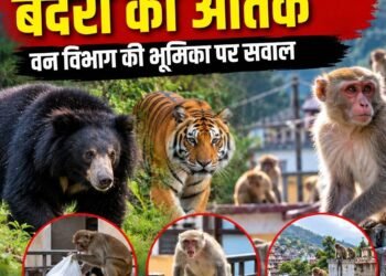 भालू-बाघ के बाद अब बंदरों का आतंक, वन विभाग की भूमिका पर सवाल